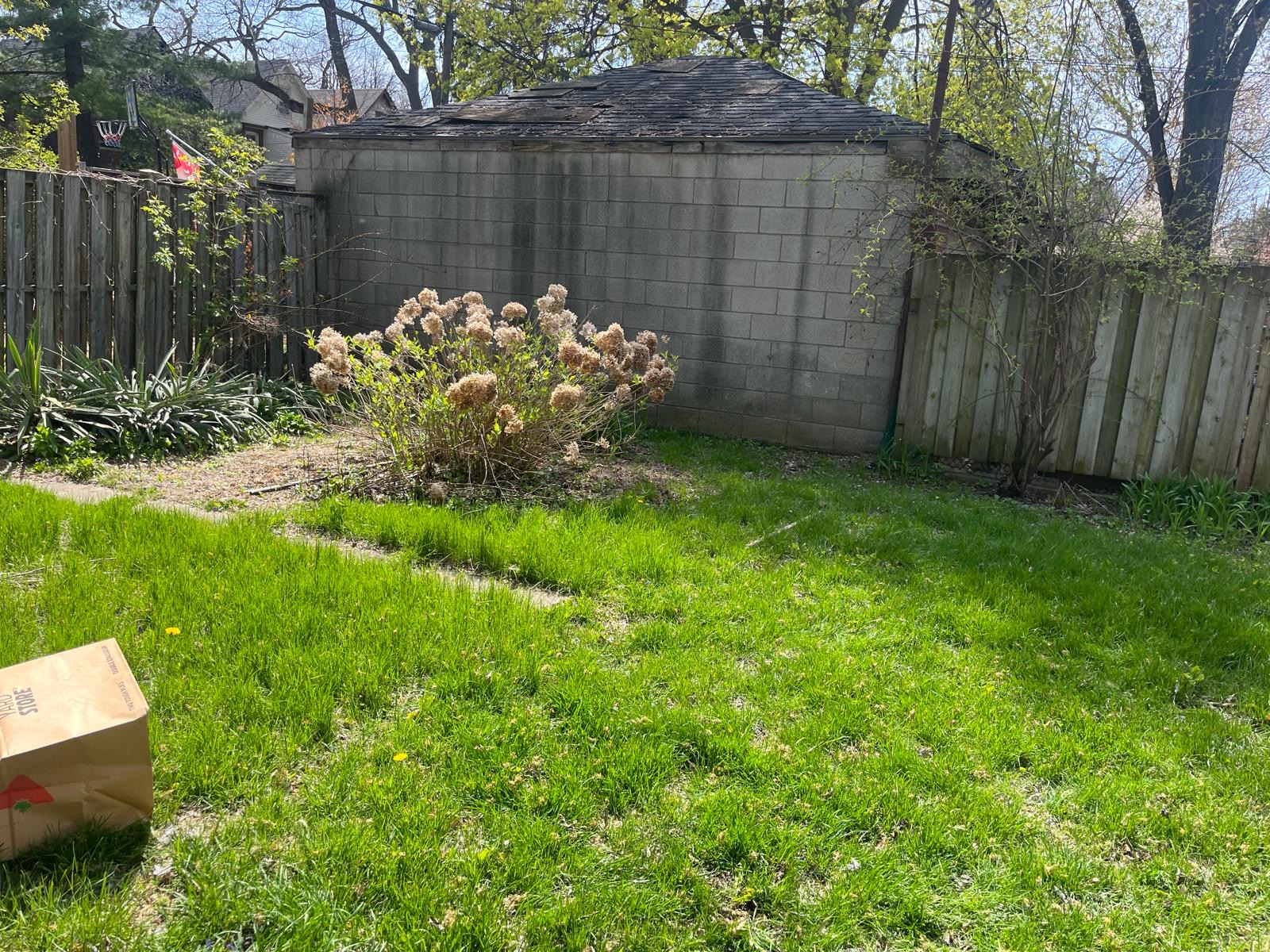 Backyard garden bed cleared and cleaned by HISBRA