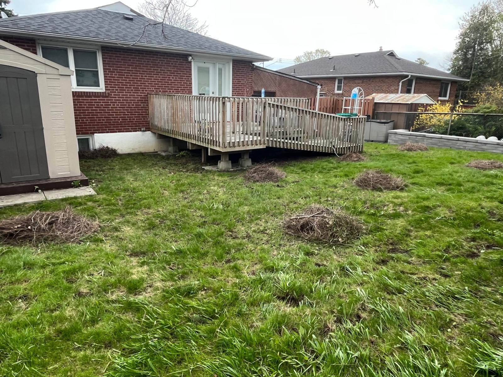 Clean backyard lawn after HISBRA lawn care service