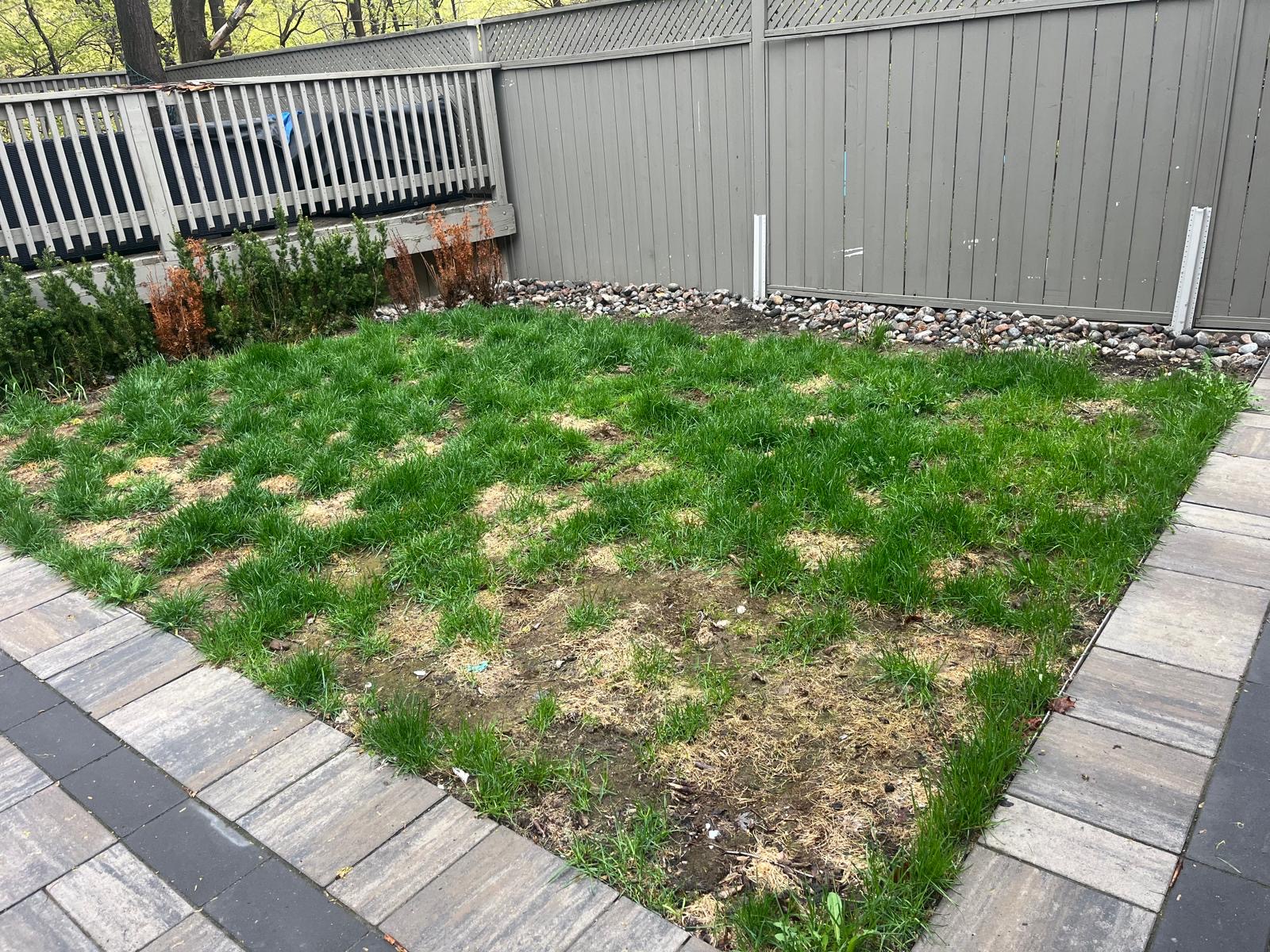 Crisp front lawn edging completed by HISBRA