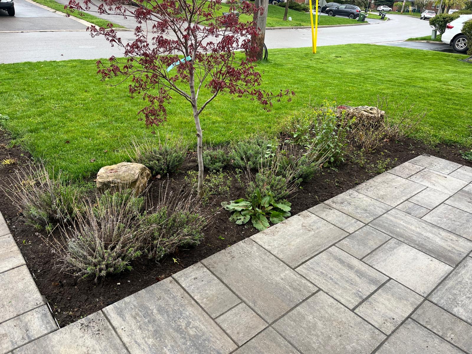 Clean front garden bed detail after landscaping service